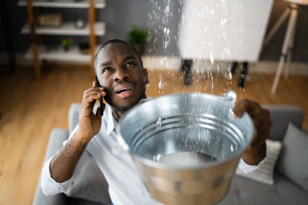 Best Basement water damage restoration  in Lincoln Park, NJ