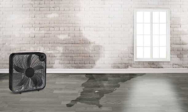  Lincoln Park, NJ Water damage restoration Pros