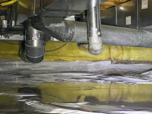 Best Sewage cleanup and water damage restoration  in Lincoln Park, NJ