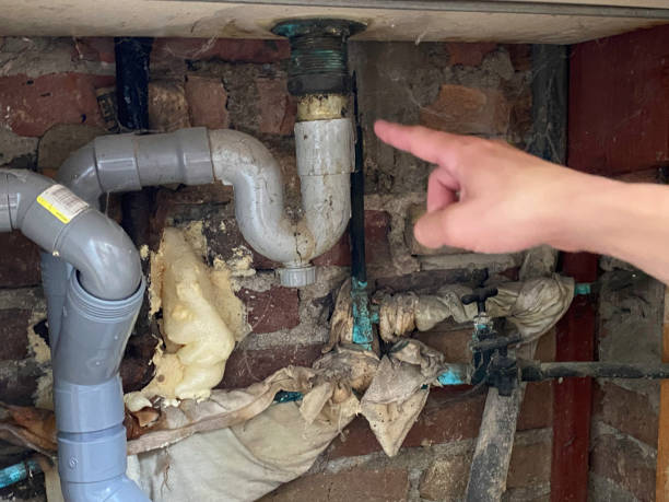 Best Water damage cleanup near me  in Lincoln Park, NJ