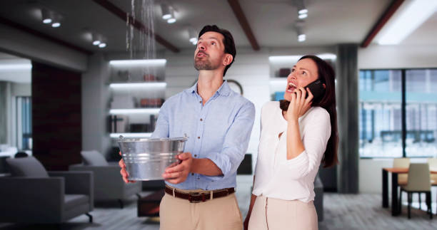 Best Flood restoration services  in Lincoln Park, NJ