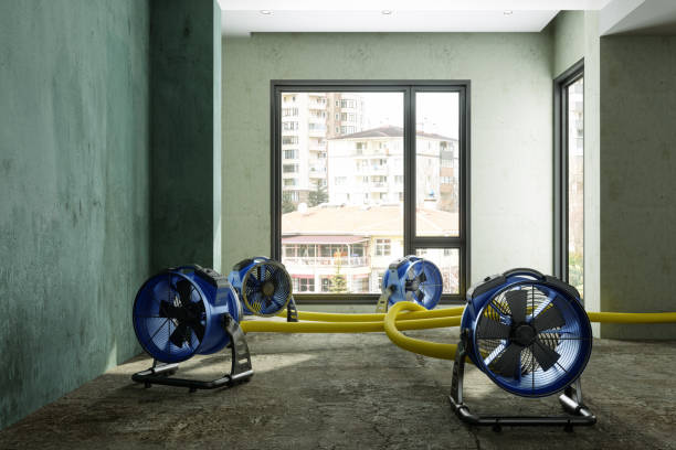Best Commercial water damage restoration  in Lincoln Park, NJ